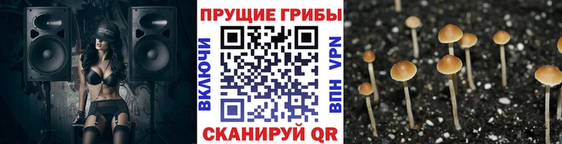 Псилоцибиновые грибы ЛСД Ухта